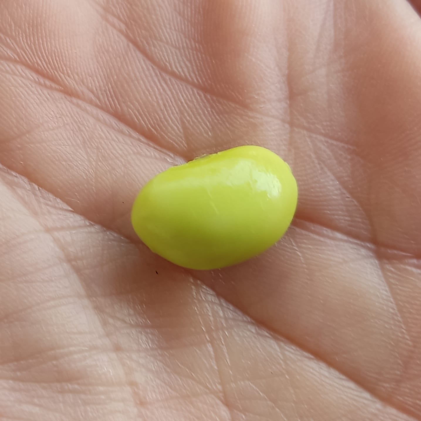 אלרגיה? אלרגיה?