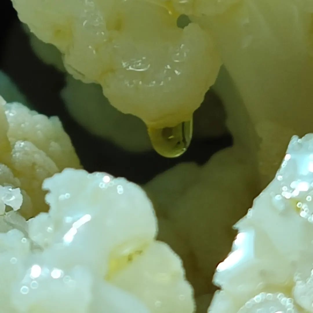 "כרבתי נפשי"