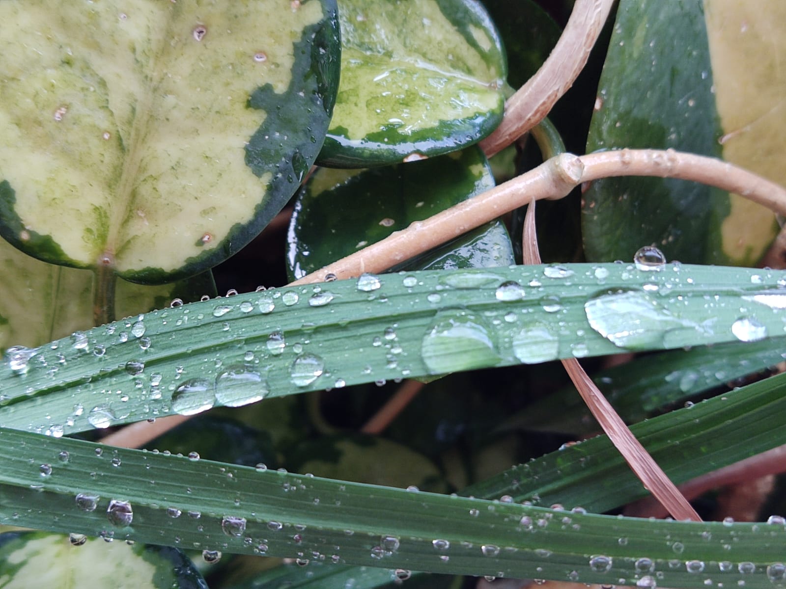 <strong>אוספת טיפות קטנות… כמו שוברת לבבות קטנה…עם מתנות קטנות</strong>