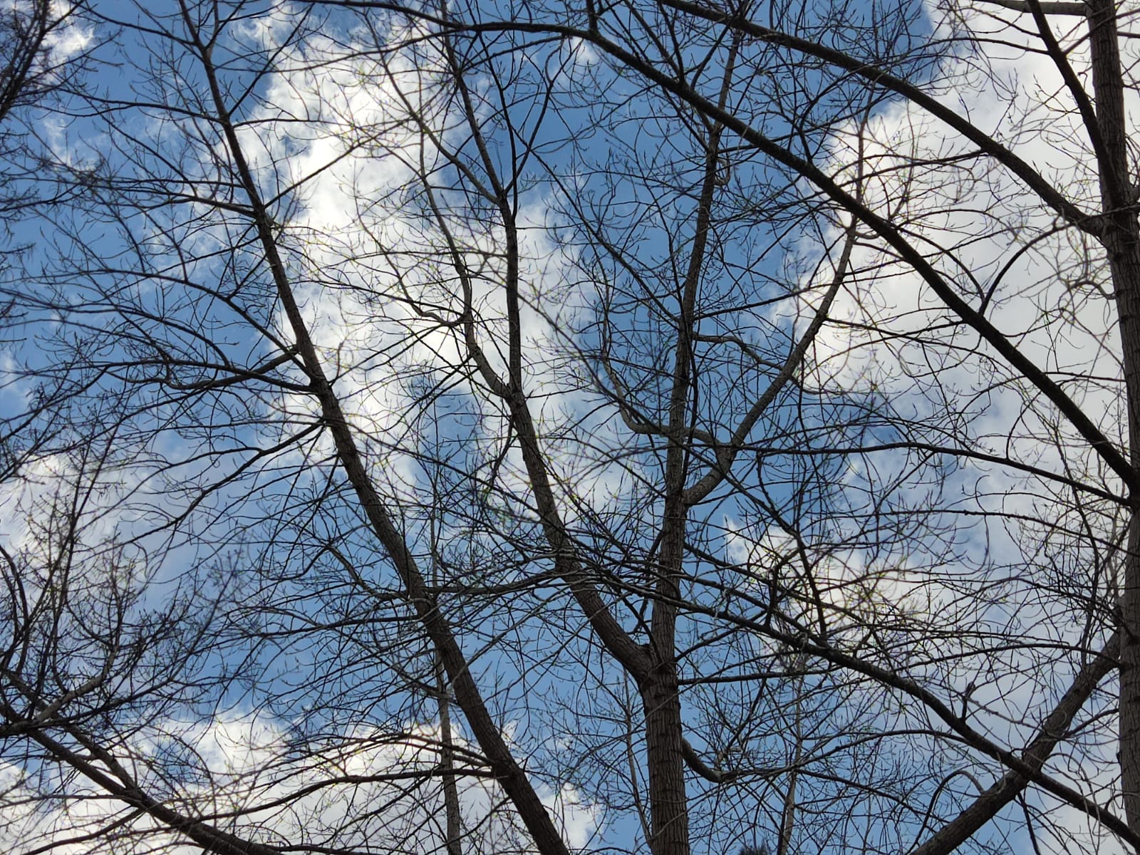 מה התמונה טומנת בתוכה?