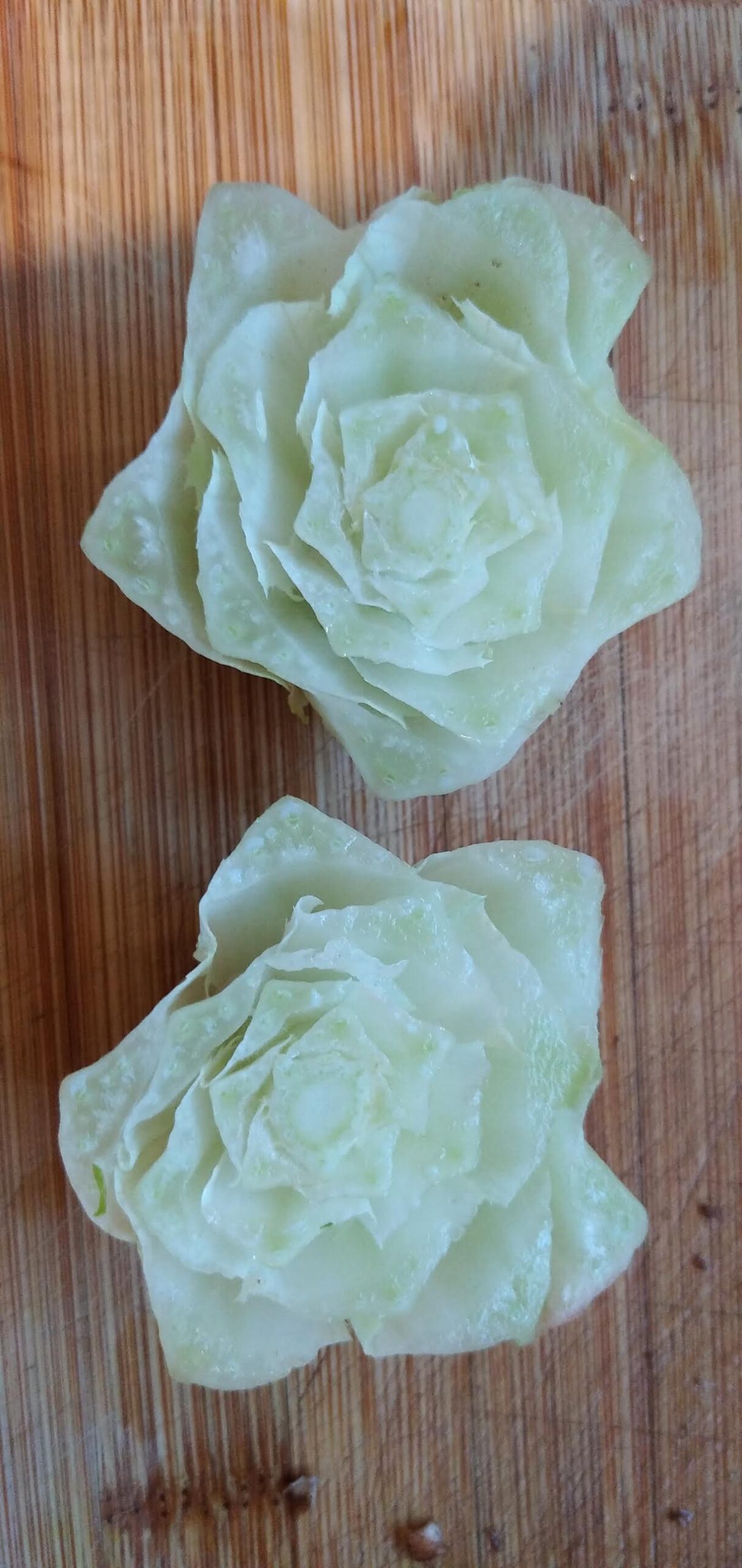 טוב היות האדם מפגר 2