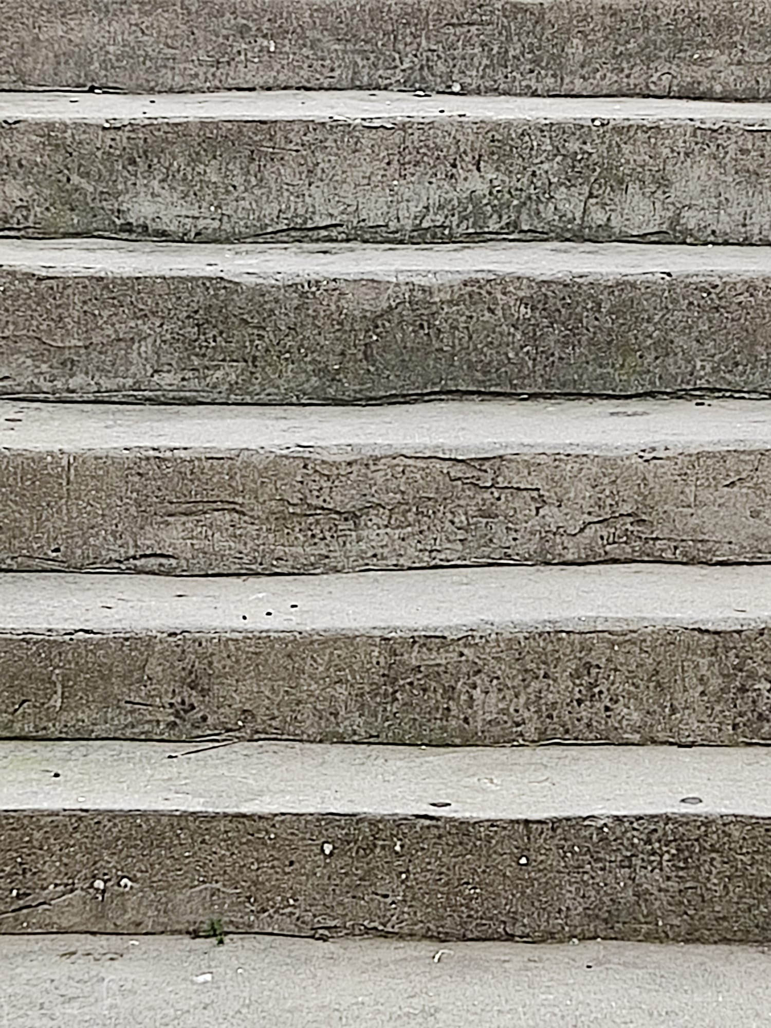 הדלת נפתחה ומאז אני בעלייה