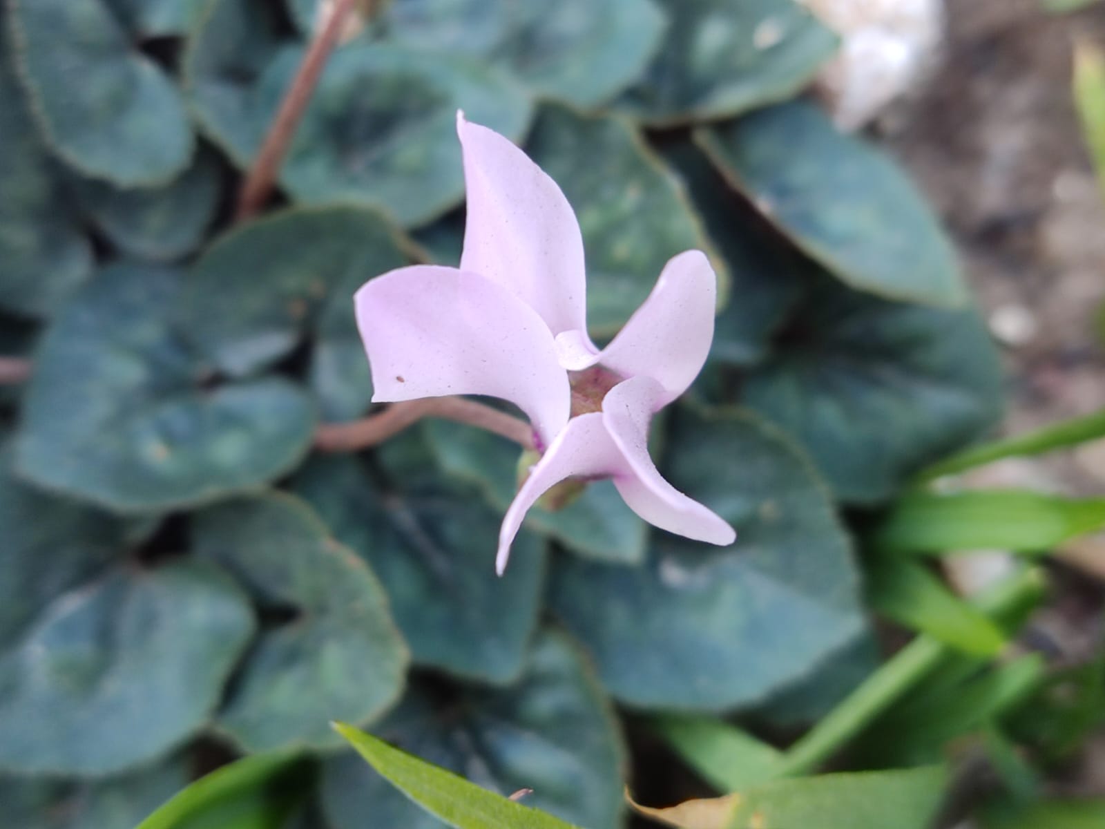 לפני חודש וקצת…