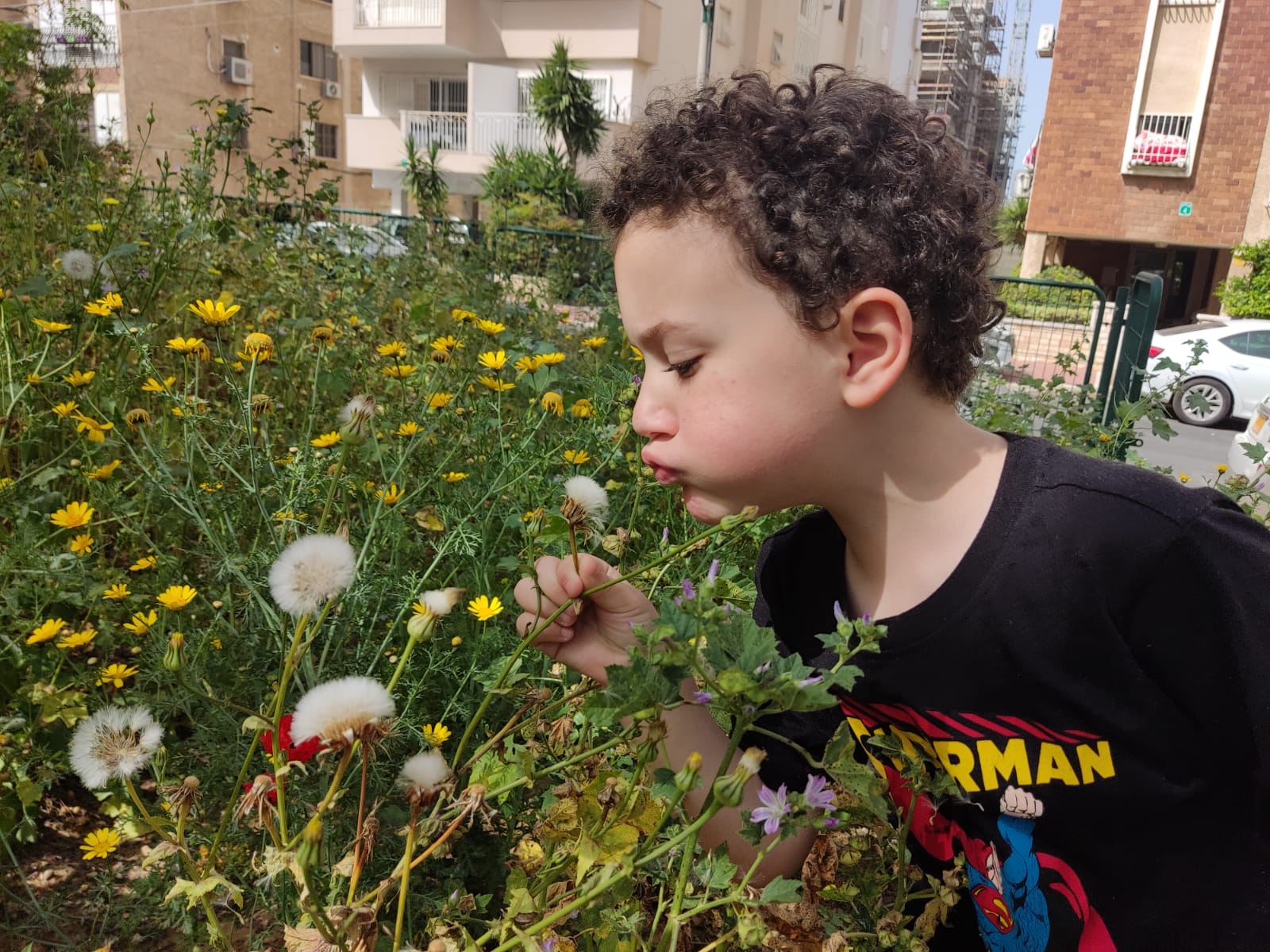 רותם וסביון