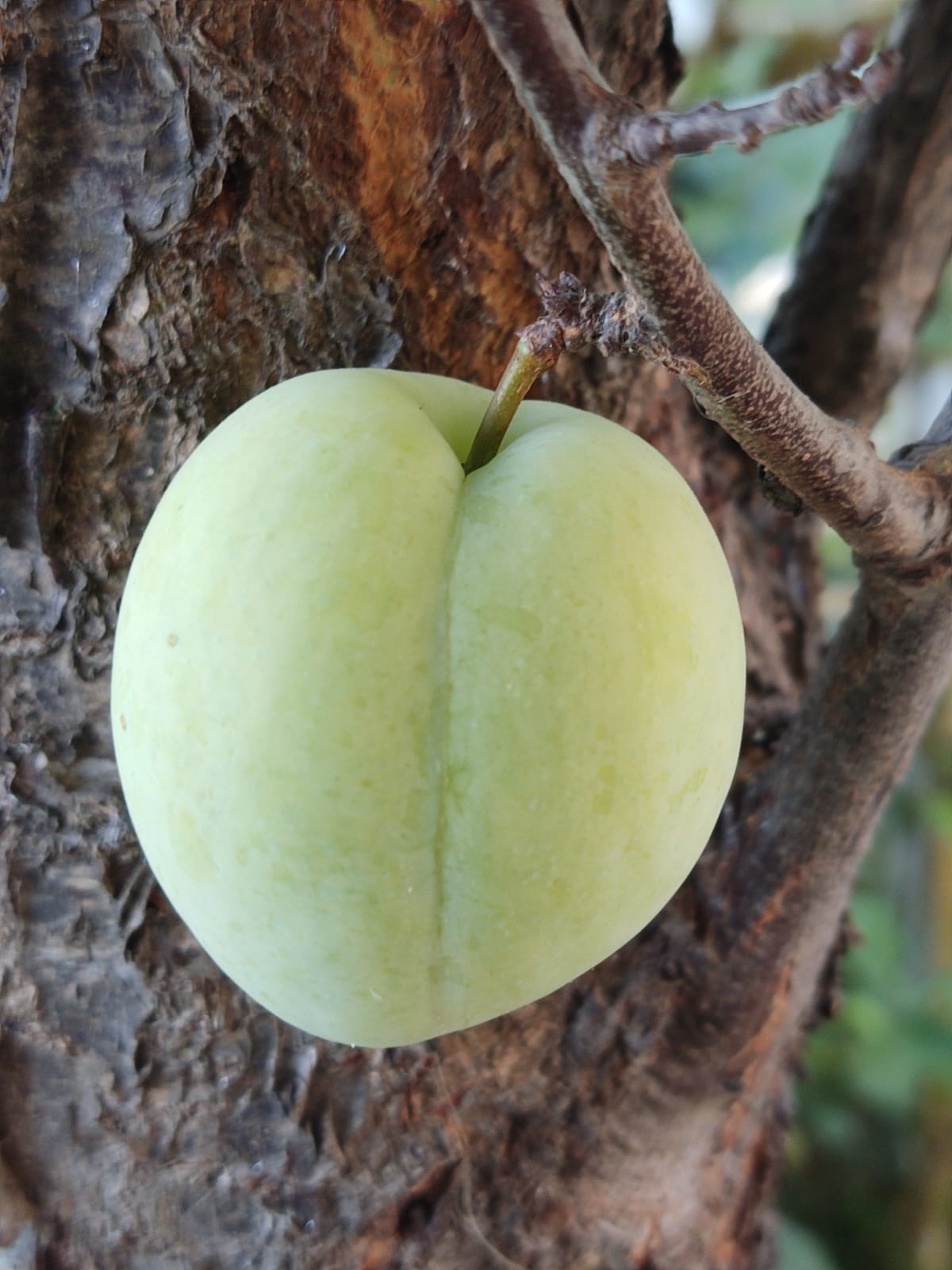 אני אוהבת אותי