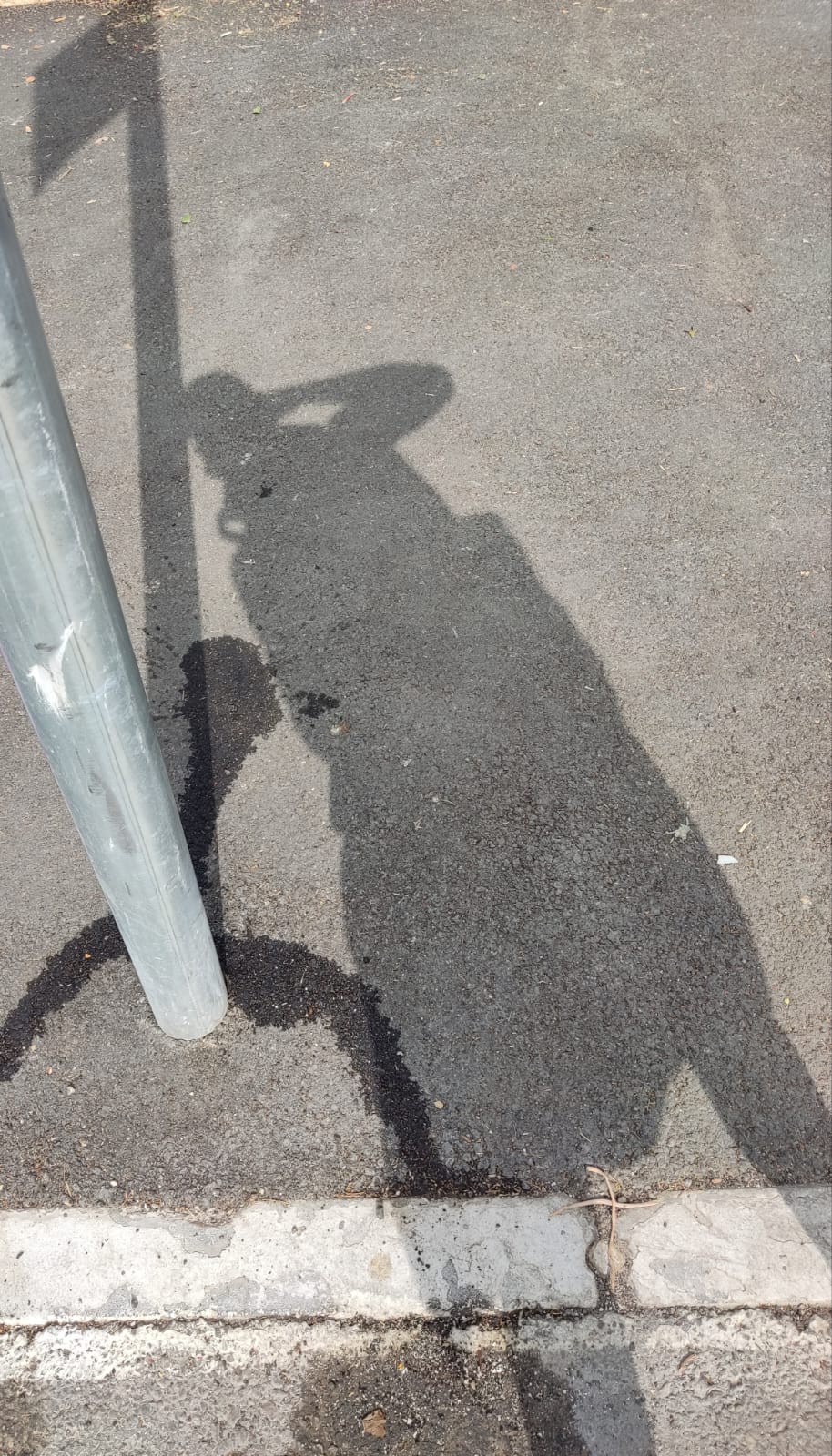 "כשהשמש ברא צל"/ ורדה אליעזר.