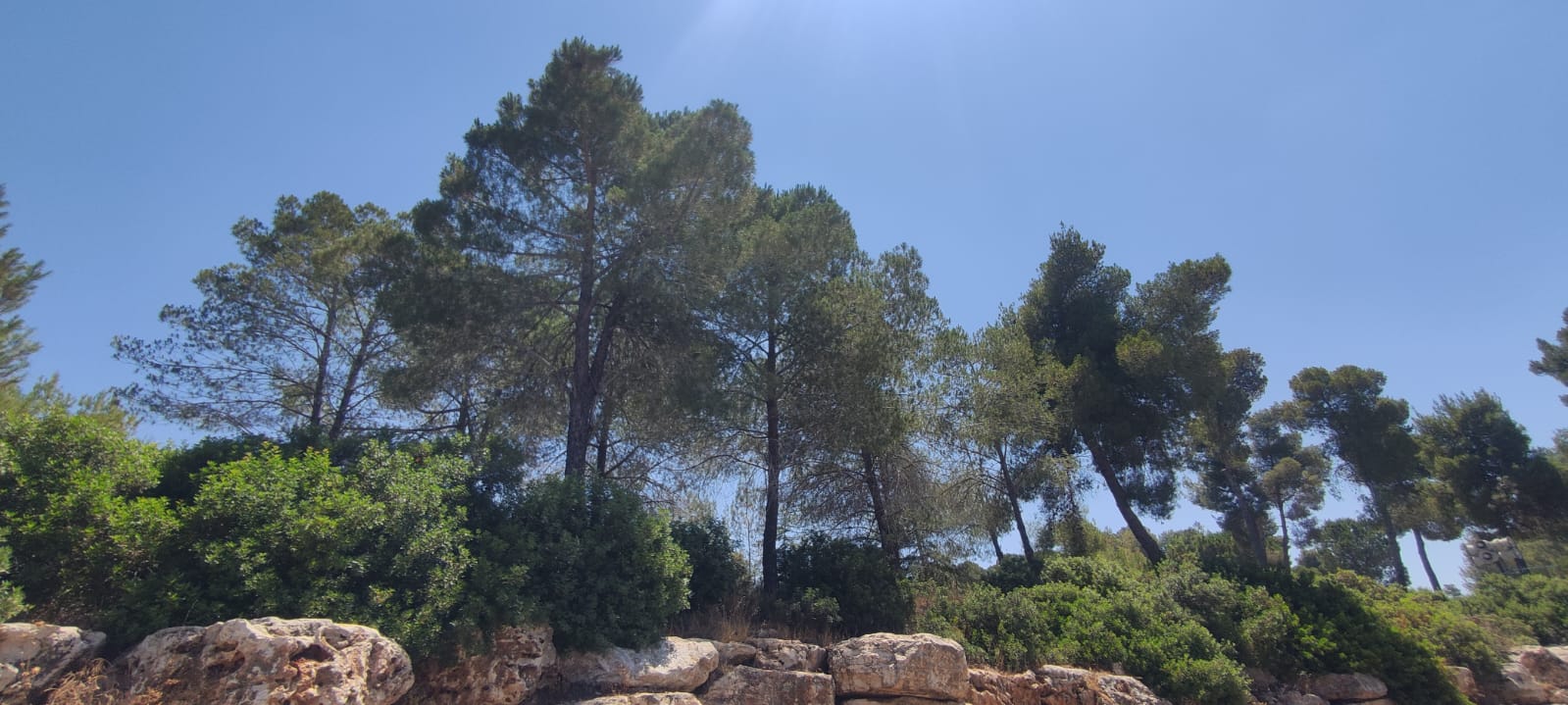 ככה שמים כחולים מדברים מרחוק