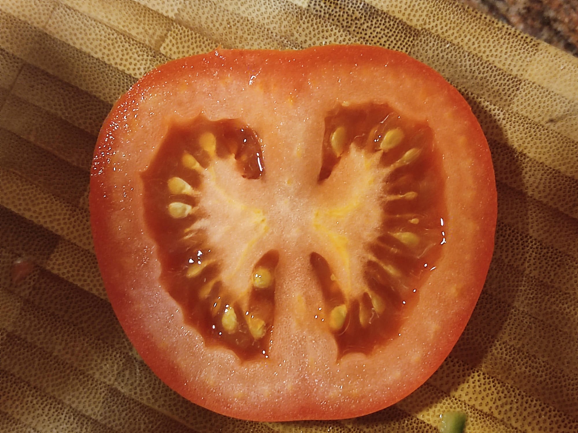 מחומר גלם כמו מגולם לפרפר