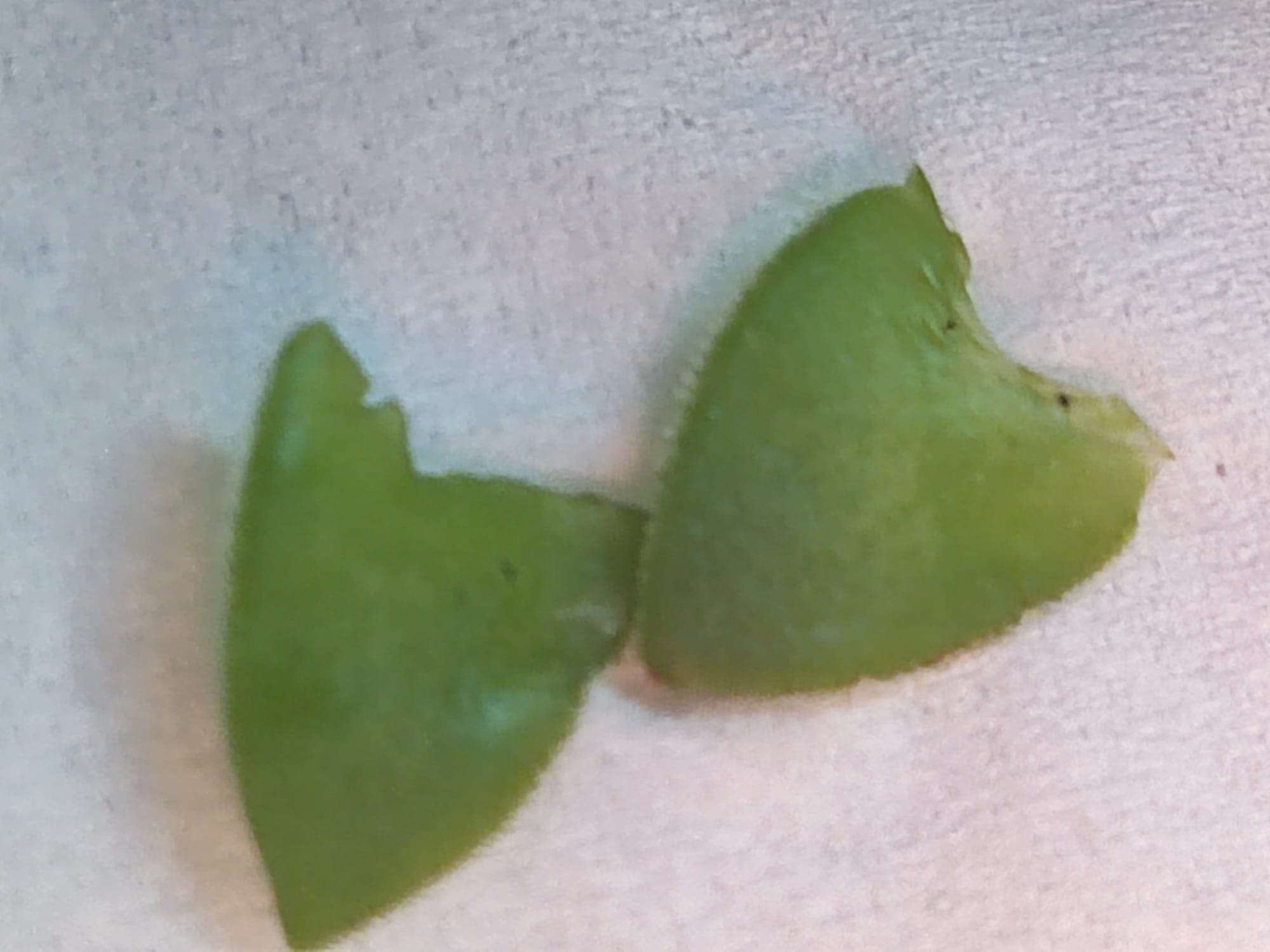 יד ביד לב אל לב