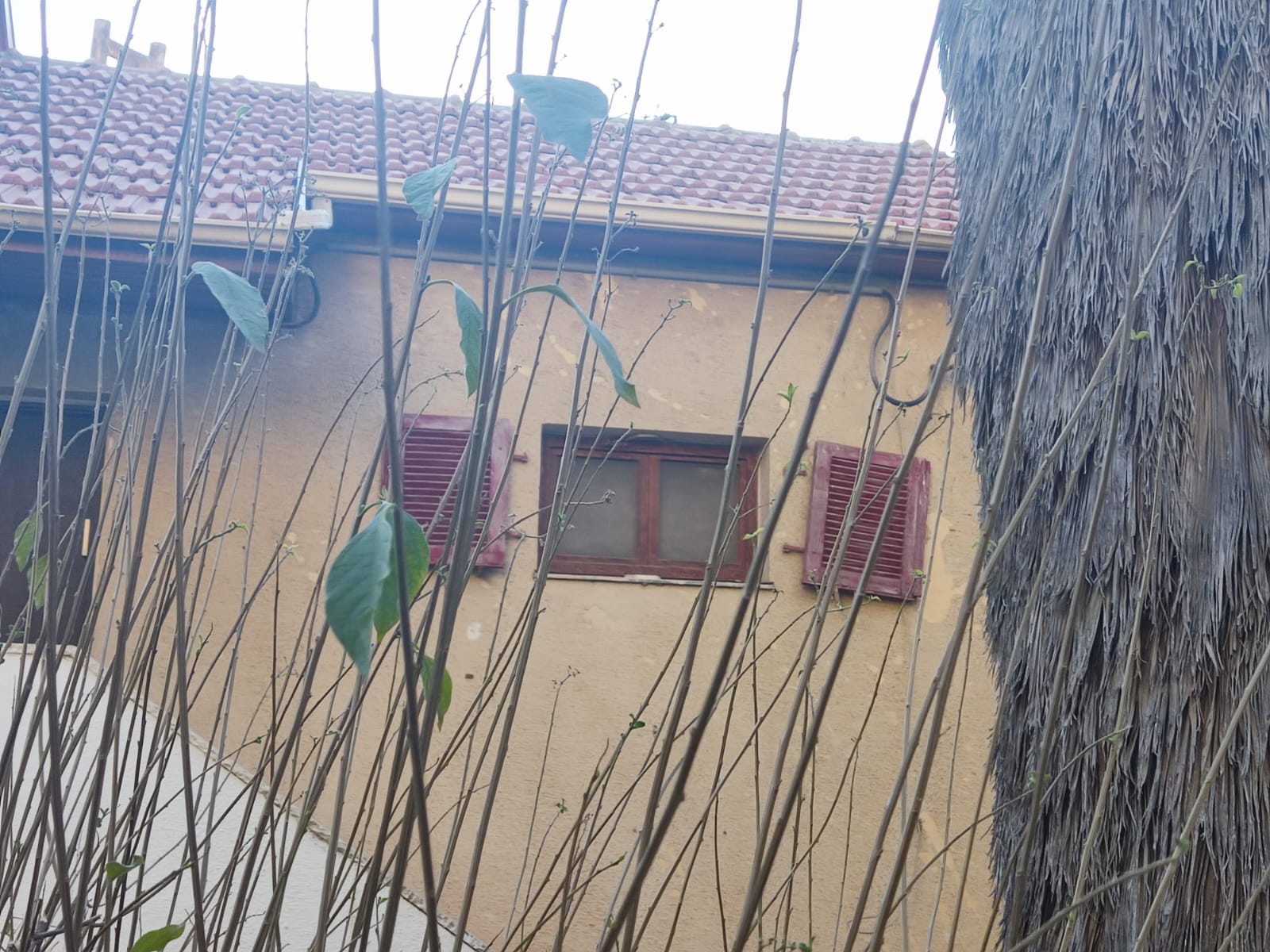 ישיבת קבינט לעומת קיבינימט ישיבת קבינט לעומת קיבינימט