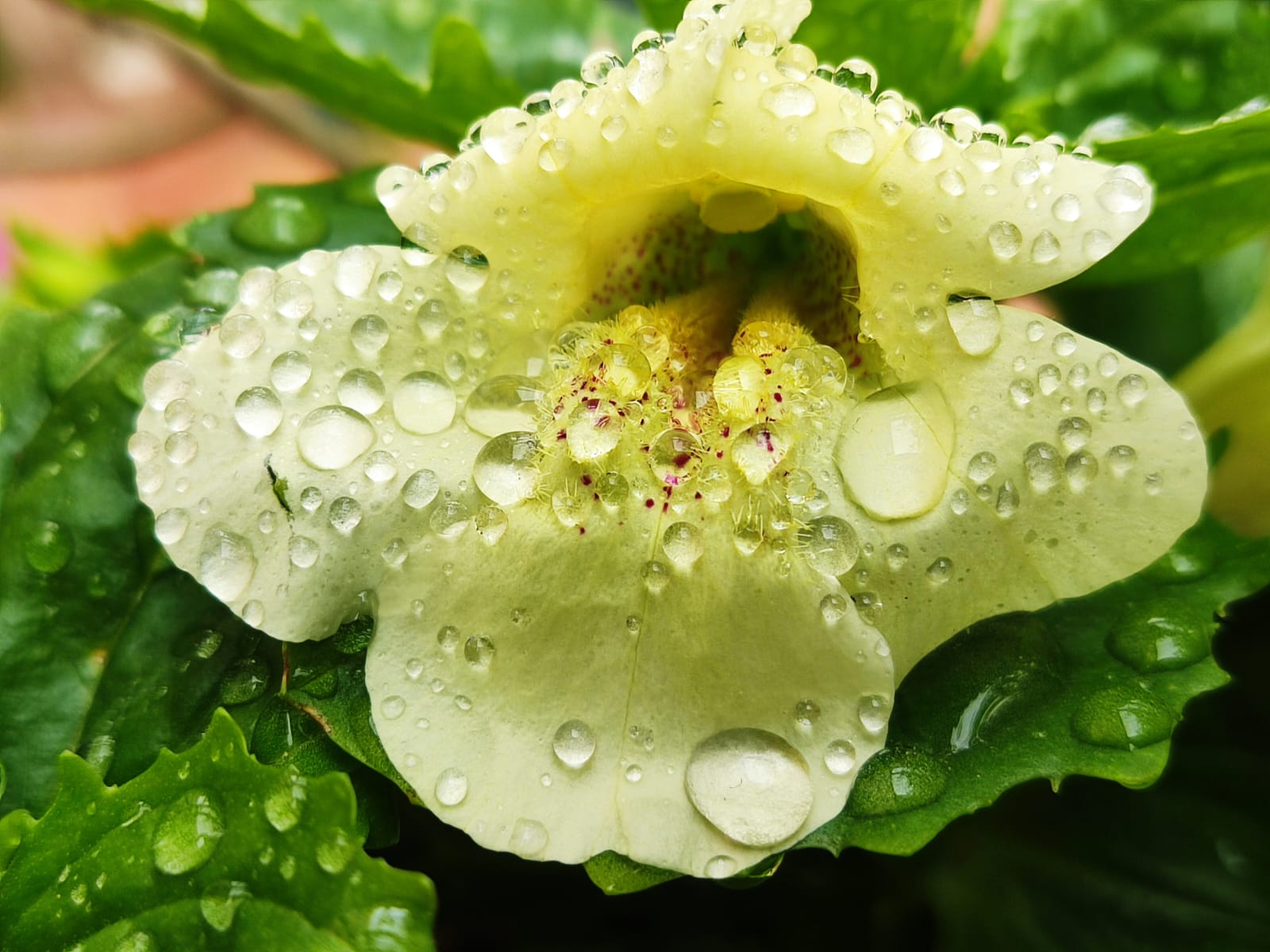 כשזה עמוק כשזה עמוק