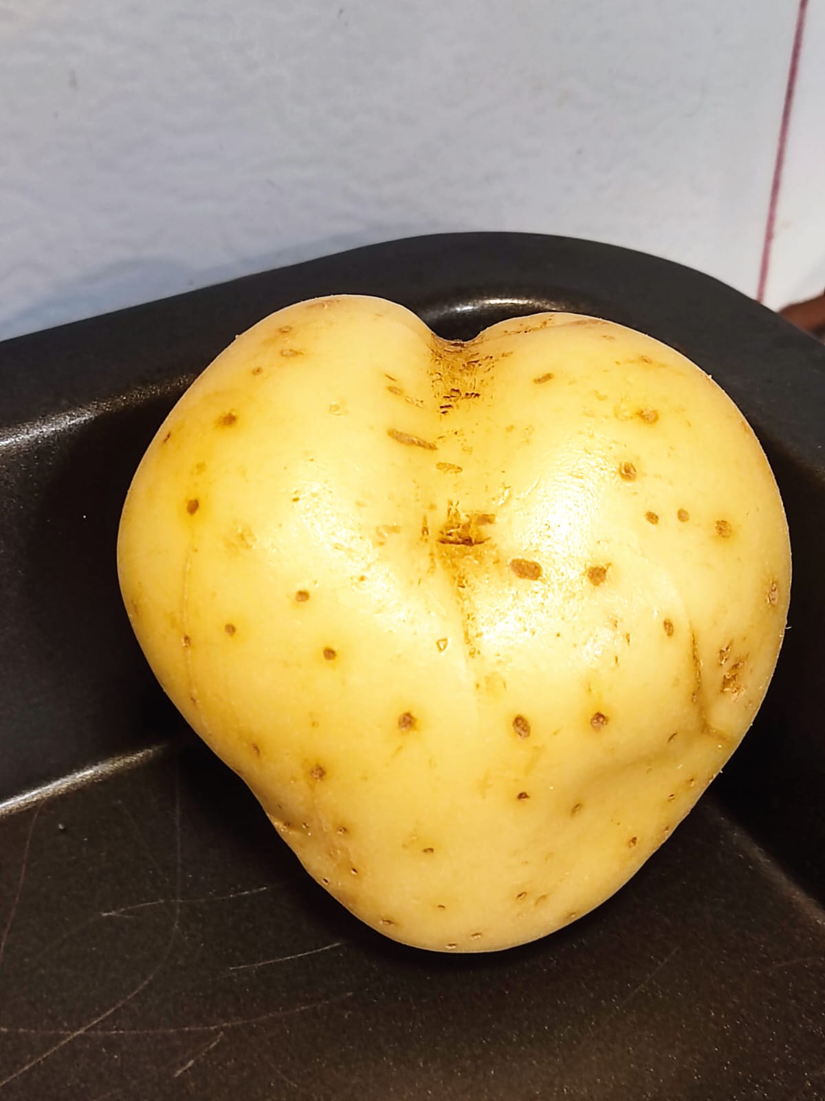 תפוח לב הזהב