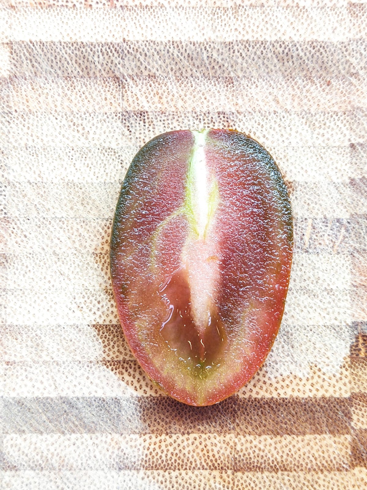 תמיד איתי תמיד איתי