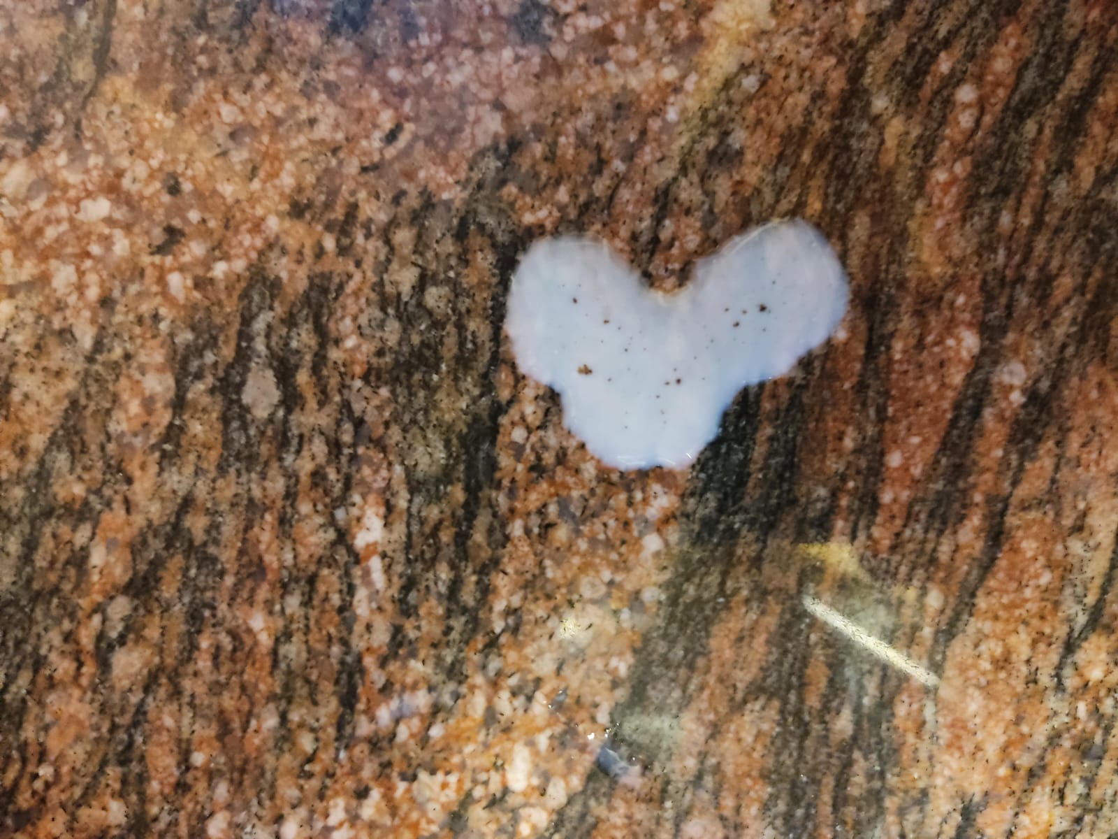 לבבות באמצע היום